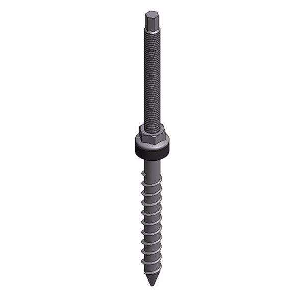Picture of SS hanger bolt - M12x250mm wooden purlin