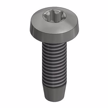 Picture of SS thread-forming bolt M6x20mm - T30