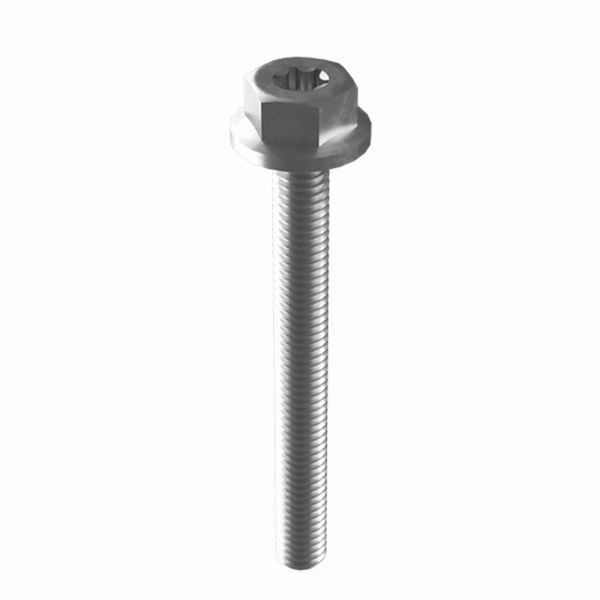 Picture of Mounting screw M6 x 55mm