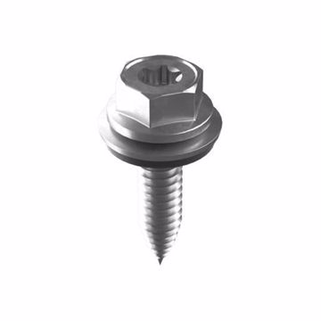 Picture of Self tapping plate screw 6.0x25mm SW10 HEX/T30